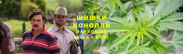 гидра Алексеевка