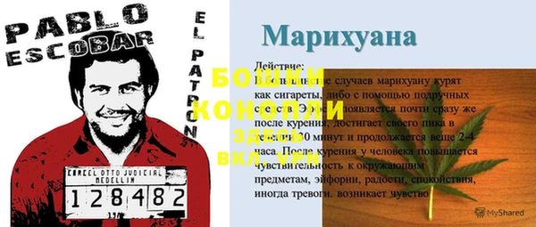 гидра Алексеевка